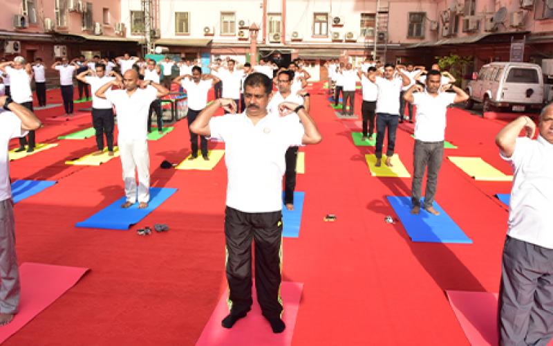 An event to commemorate 100 days countdown to International Day of Yoga - 2022